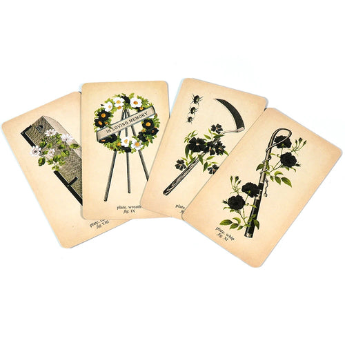 Lit VVitch Skull & Crossbones~ Memento Mori Lenormand and Oracle Deck by Claire Goodchild Ideal for divination lovers gift for spiritual enthusiasts